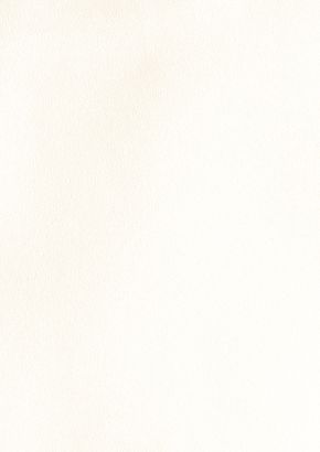 RENOLIT EXOFOL PX WHITE 9152 ULTI-MATT 